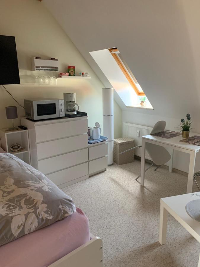Apartment Am Goethe Park Jéna Kültér fotó